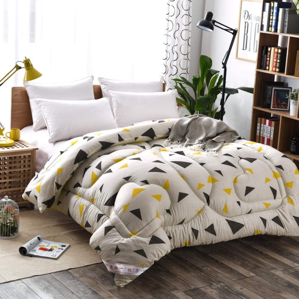 羽毛布団 ダブルロング ダウン70% ポリエステル100% 立体キルト 日本製 ペイズリー 安い エコ サステナブル 羽毛布団セットダブル,ホームテキスタイルプリント冬の厚い暖かい冬のキルトシングルダブルスチューデントコア-h_200x230cm 2