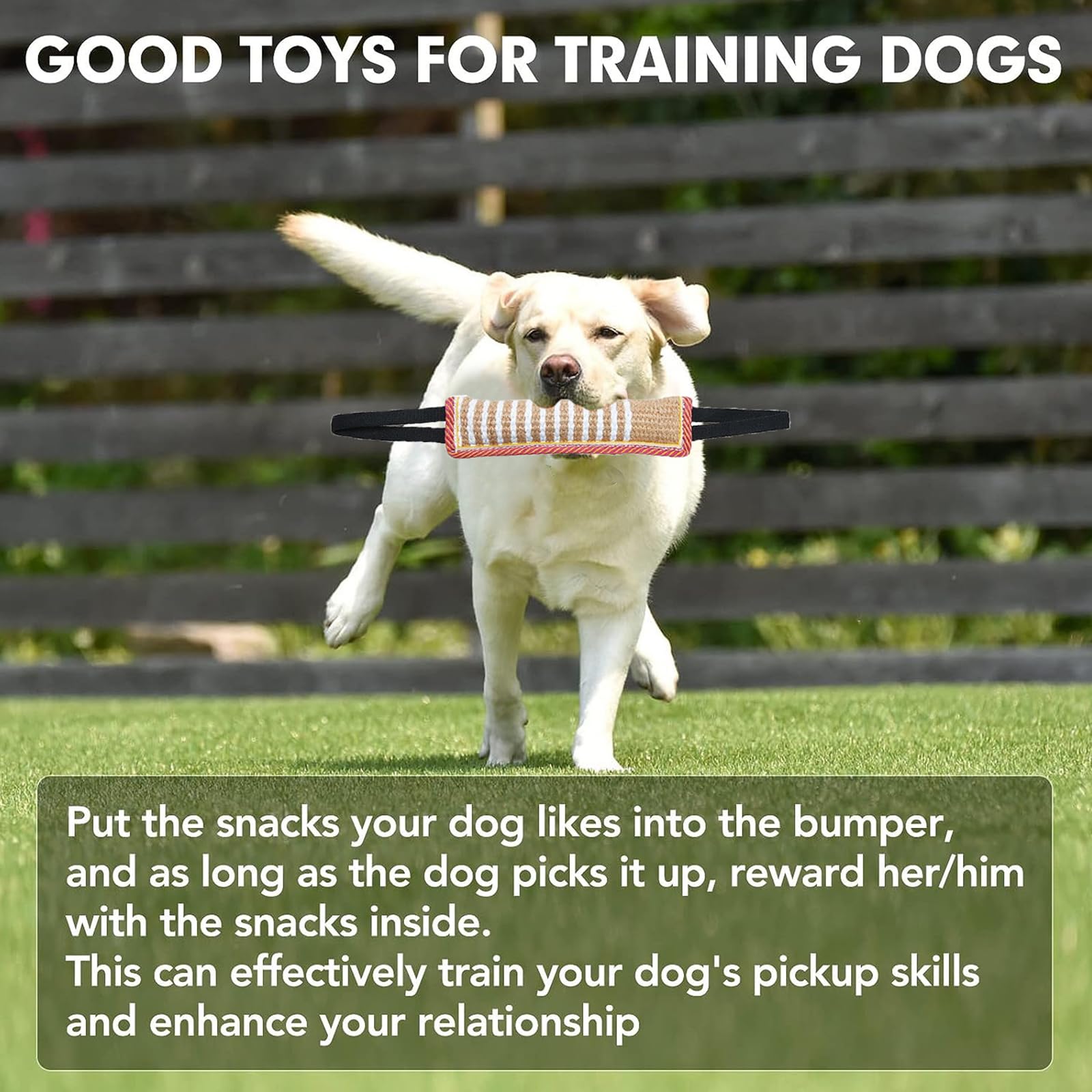 Manicotto in Juta per Cani con 2 Maniglie - Giocattolo per Addestramento e Gioco Interattivo - Dummy Tug of War per Cane di Taglia Medio-Grande - 2 Pezzi