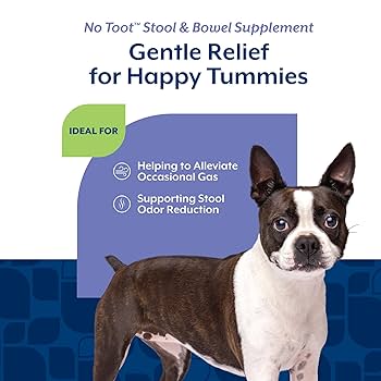 C&G Pets, Away Digestion Aid 60 Soft Chews, & Flatulence