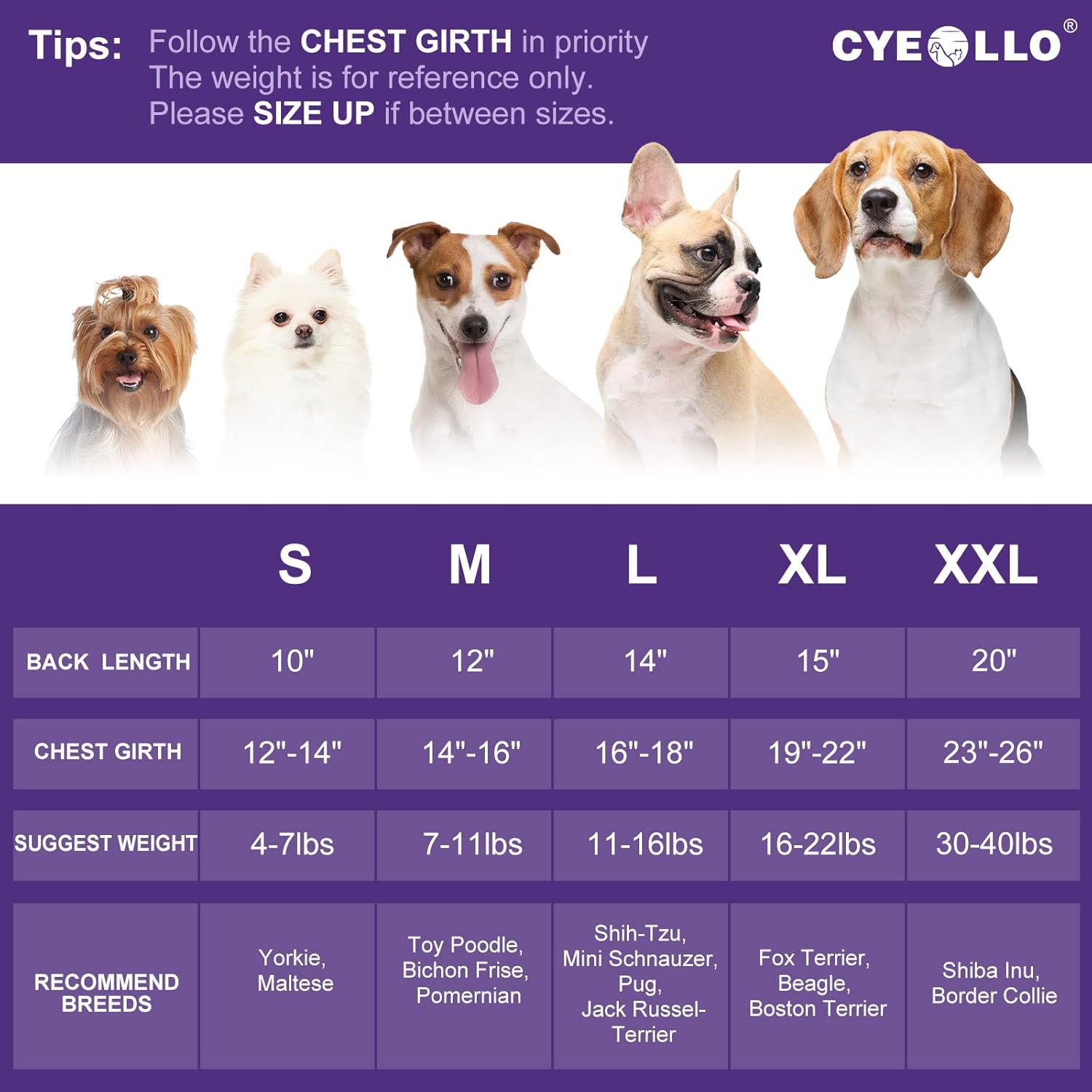 cyeollo Dog Dress Christmas Fleece Plaid Dog Dresses Flannel Thick Thermal Bowknot Winter Cold Weather Pet Dress Girl Dog Clothes Apparel Christmas Outfit Dresses for Small Dogs : Pet Supplies