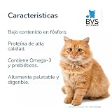 Ver la foto 4