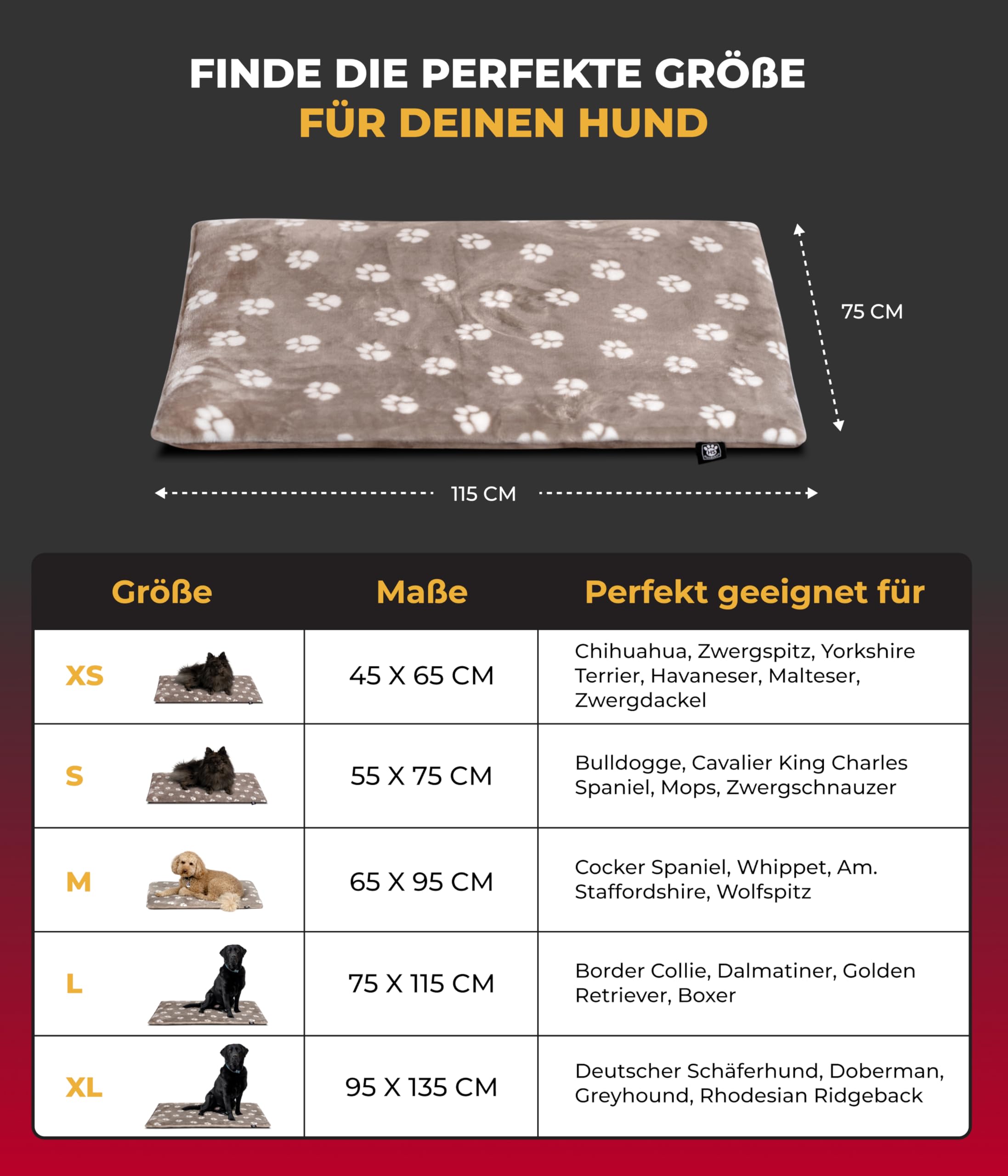 Hundedecke L (75x115 cm) – Wendbar & gemütlich Dank 3 cm Füllung – Perfekt fürs Sofa, Auto & Hundebox – Tatze Beige, Made in DE