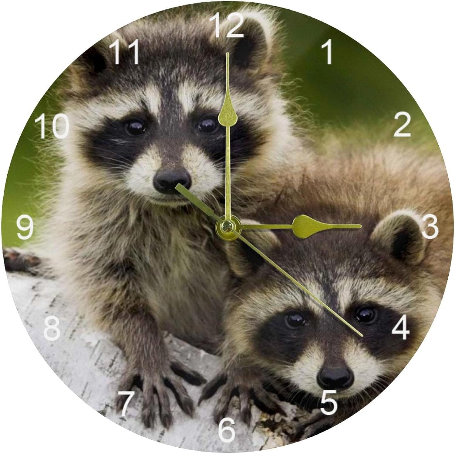 LORVIES Raccoon Couple Silent Non Ticking Acrylic Decorative 10 Inch Round Clock for Home Office School