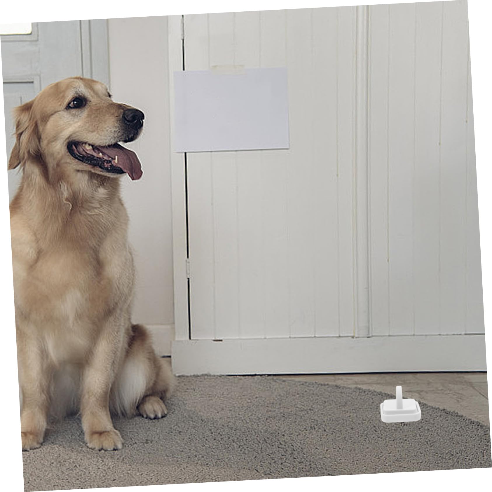 YARNOW 4pezzi Supporto Magnetico Per Traversine Per Cani Holder Per Tappetini Igienici Facile Installazione Su Muro Design Portatile e Adesivo Per Famiglie Con Animali Domestici