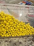 Review Image by Groovy61vibes