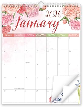 Guasslee Wall Calendar 2026-2027, 2026 Wall Calendar, 18-Month Academic Desktop PlannerFrom Jan. 2026 - Jun. 2027, 14" X 11" Monthly Planner With Corner Protectors, Thick Paper For Home School Office