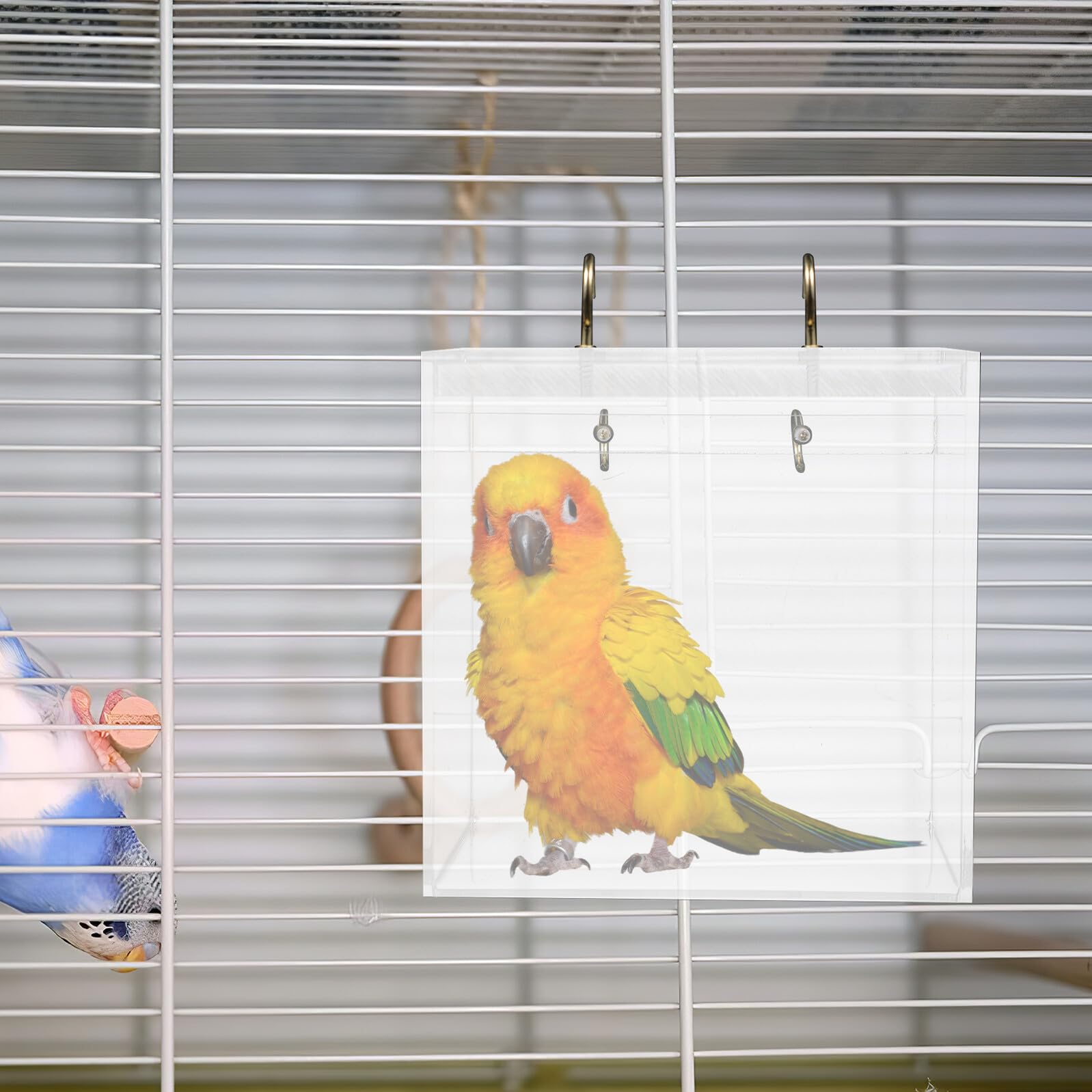 Vogelbad Acryl Klein zum Aufhängen Vogeltränke für Käfig Parrot Wellensittich Badebox Stresslösend und Leicht zu Reinigen Geeignet für Kanarienvögel und Kleine Vögel