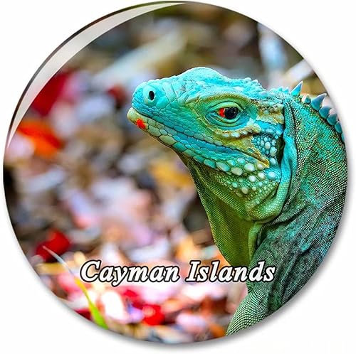 Miniatura 6 de El Salvador - Imán decorativo para nevera, abrebotellas, regalo de colección de recuerdos de viaje turístico, adhesivo fuerte para refrigerador