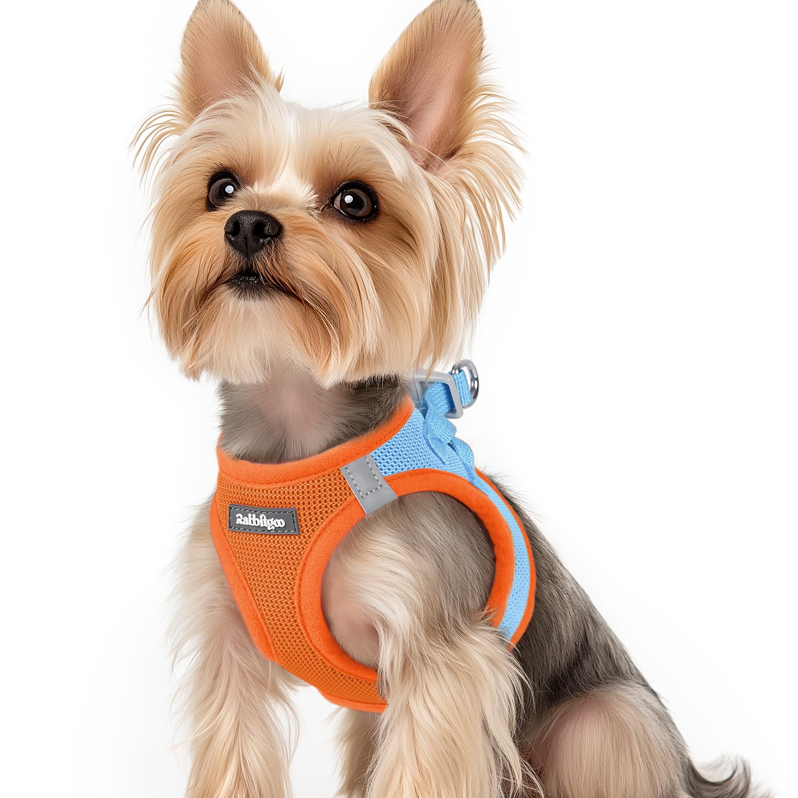 rabbitgoo Dog Harness Small Dog, Step-in Soft Mesh Puppy Harness with Reflective Strips, Lightweight Breathable Pet Vest for Walking Training, Blue & Orange, XS
