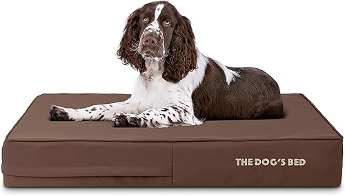 Miniatura 38 de The Dog's Bed - Cama ortopédica de espuma viscoelástica para perro, grande gris y negro, impermeable, cama de apoyo con fundas reemplazables, negro