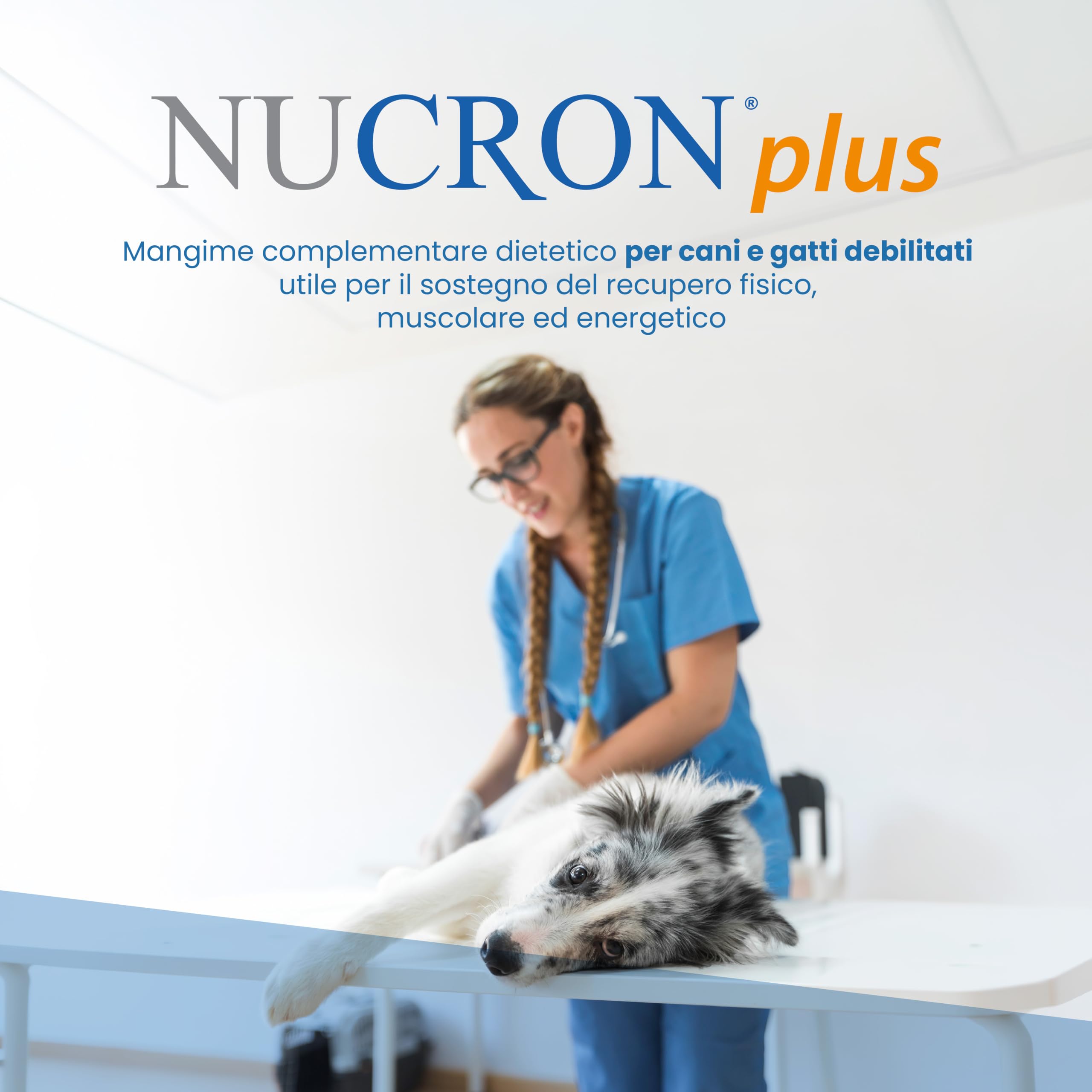 Nucron Plus Mangime Complementare per Gatti e Cani Piccoli, 14 Stick da 3g | Aminoacidi ramificati, arginina, taurina, baobab, probiotico e vitamine B. 1 stick 2 volte al giorno da 10 a 20 kg.
