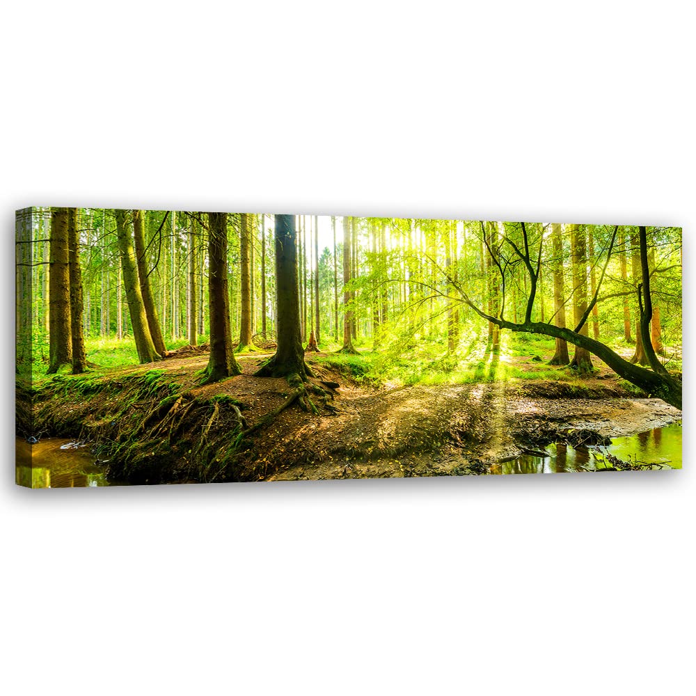Feeby Bild auf Vlies Leinwand Wald Natur Bäume 120x40 cm Kunstdruck Modern Wandbilder Deko Flur Wohnzimmer Moos Sonnenstrahlen Blätter Grün