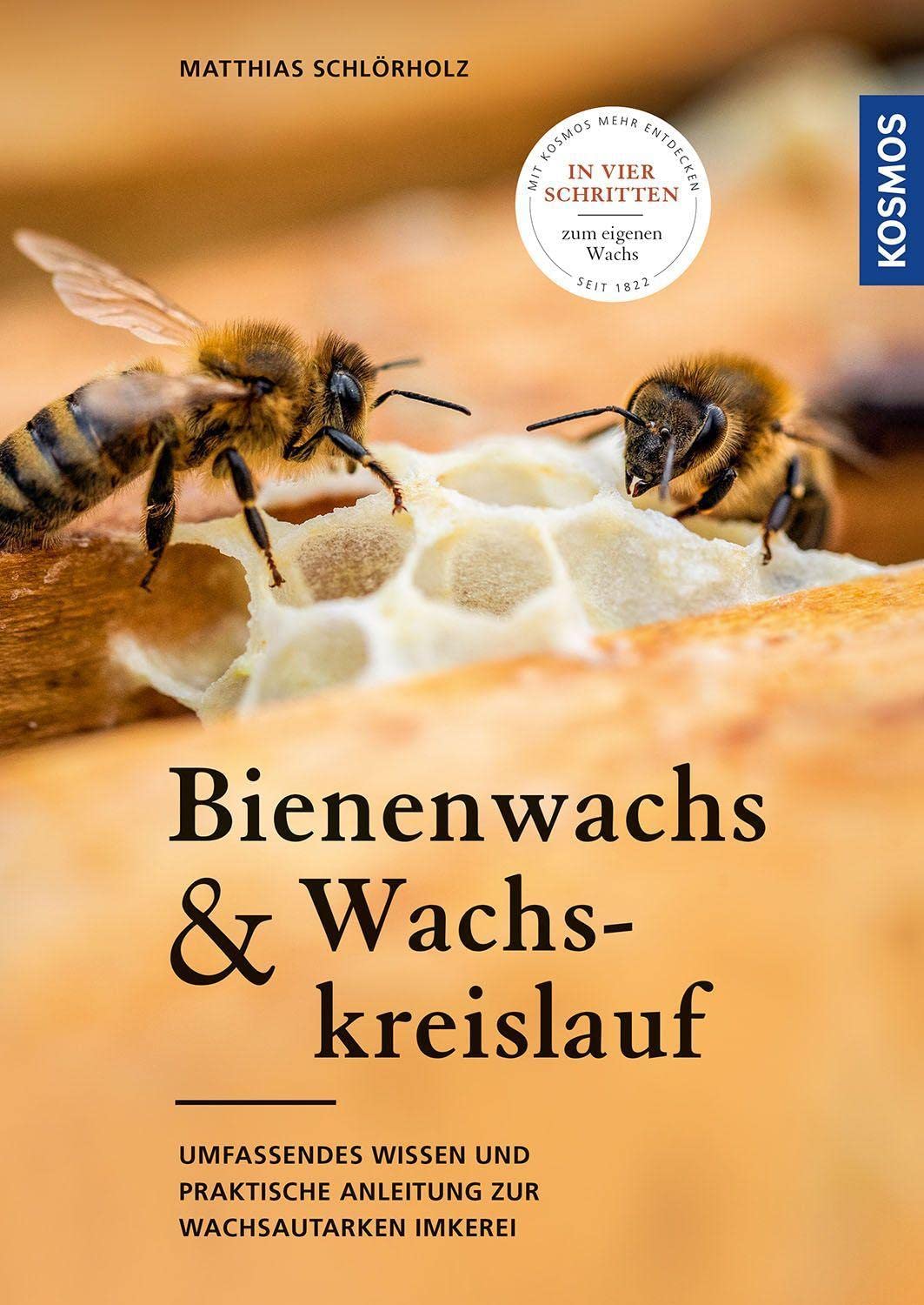 Cire d'abeille : méthode apiculture autosuffisante et guide technique de traitement
