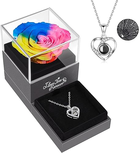 Rosa arcoíris real preservada con collar con texto en inglés "I Love You", regalos de rosas eternas para mamá, esposa, novia, regalos románticos
