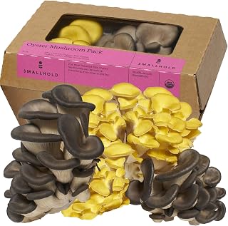 Smallhold, Organic Mushroom Oyster, 8 Ounce