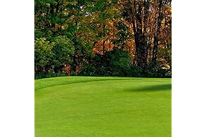 5 lbs Creeping BentGrass Seeds for a Lush, Emerald Green Lawn