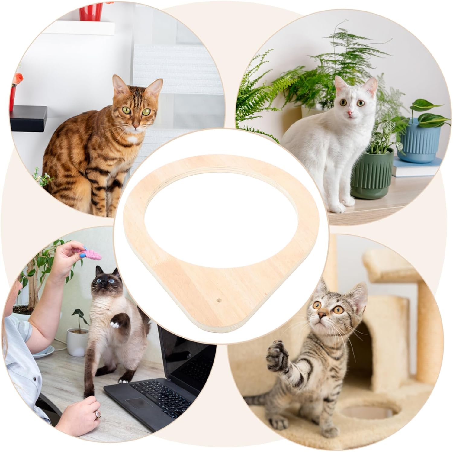 Yardwe Sturdy Cat Tree Frame Detachable Window Perch Scratching Post Holder Cat Climbing Post for Indoor Cats Spacious Design for Multiple Cats Construction