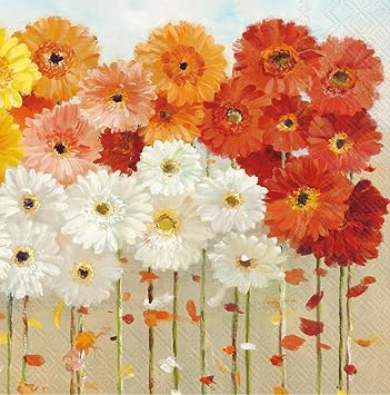 IHR Ideal Home Range Napkins