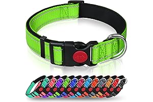 Taglory Neon Collars for Dogs