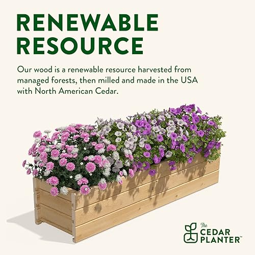 Vista 24 de Greenes Fence Maceta de madera de cedro, 21 x 11 x 7 pulgadas, fabricada en Estados Unidos con cedro norteamericano
