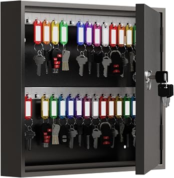 60 Key Lock Box, Commercial Key Cabinet with Key Tags,Wall Mount Key Box