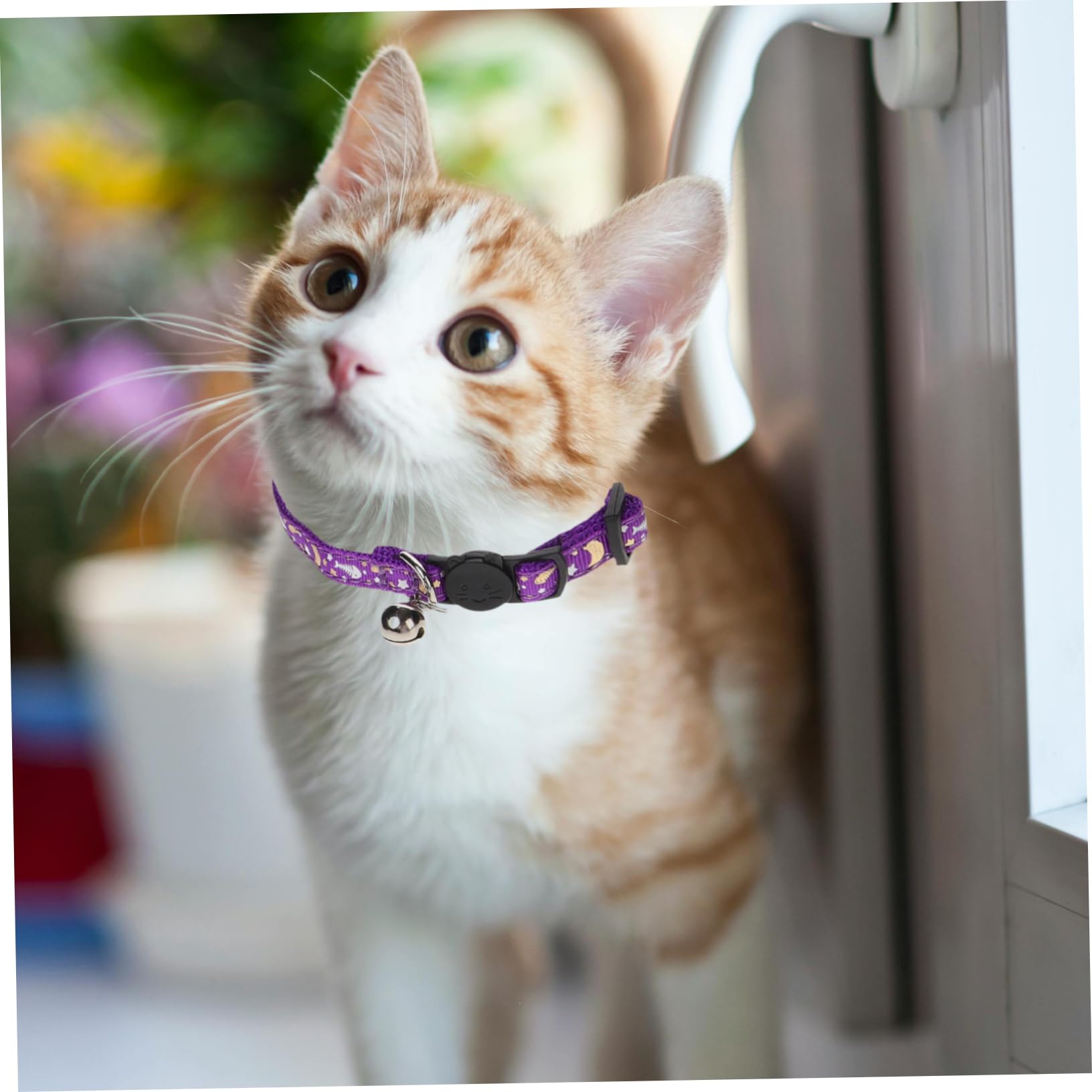 POPETPOP 9 STK Leuchtendes Katzenhalsband Dekoratives Katzenhalsband Katzenhalsbänder Katze Halskette Reflektierendes Hundehalsband Entzückendes Kätzchenhalsband Haustierzubehör Sanft Stoff