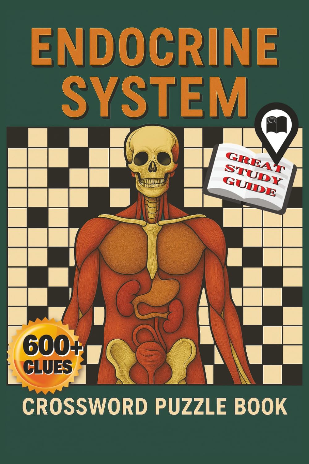 Endocrine System Crossword: endocrine | puzzle | crossword | study guide | medical terms | biology | health science