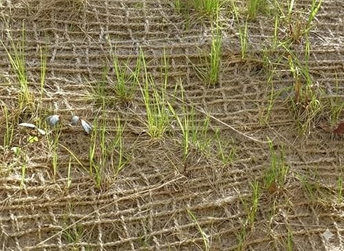 Vista 19 de 48 pulgadas x 15 pies en total 60 forros de arpillera para jardín, tejido suelto de yute para cama elevada, semilla de cobertura, mantillo y manta