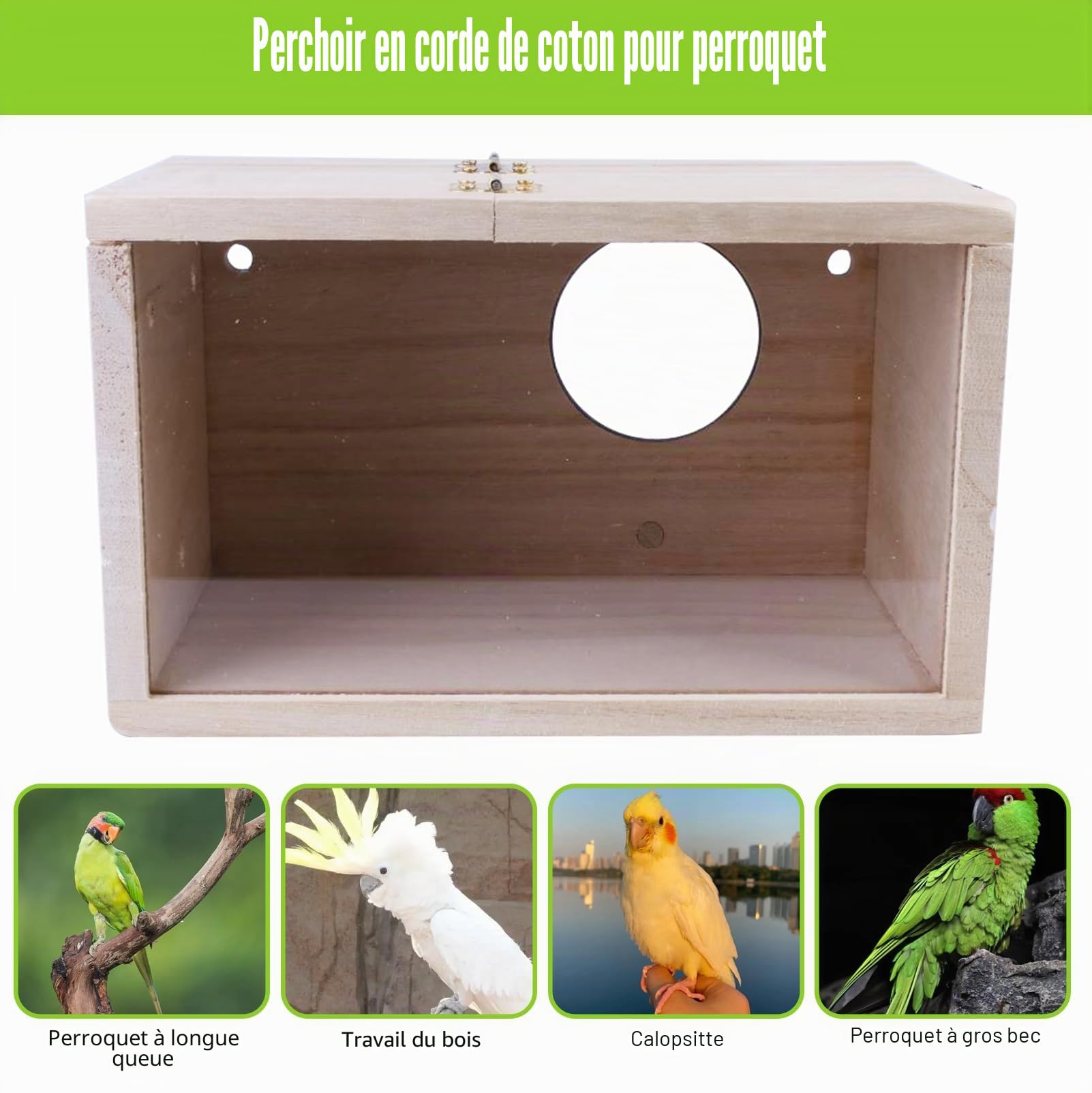Nizirioo Nichoir transparent pour perruches, perruches, perruches, perroquets, 12 x 12 x 19,5 cm