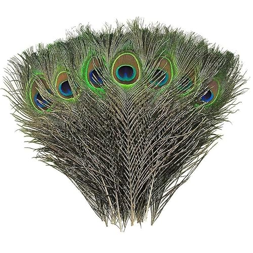 South Beach Crafts 10 Pieces of Ethically Sourced Genuine Peacock Feathers 10-12 Inches for Crafts, Décor Festive Attire, Halloween Costumes, Vibrant Eye Design Embodying Nature's Enchanting Magic