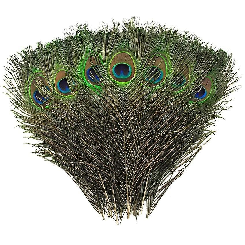 South Beach Crafts 10 Pieces of Ethically Sourced Genuine Peacock Feathers 10-12 Inches for Crafts, Décor Festive Attire, Halloween Costumes, Vibrant Eye Design Embodying Nature's Enchanting Magic