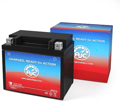 AJC Battery Compatible with Honda T1100 Shadow 1100CC Motorcycle Battery (2001-2006)