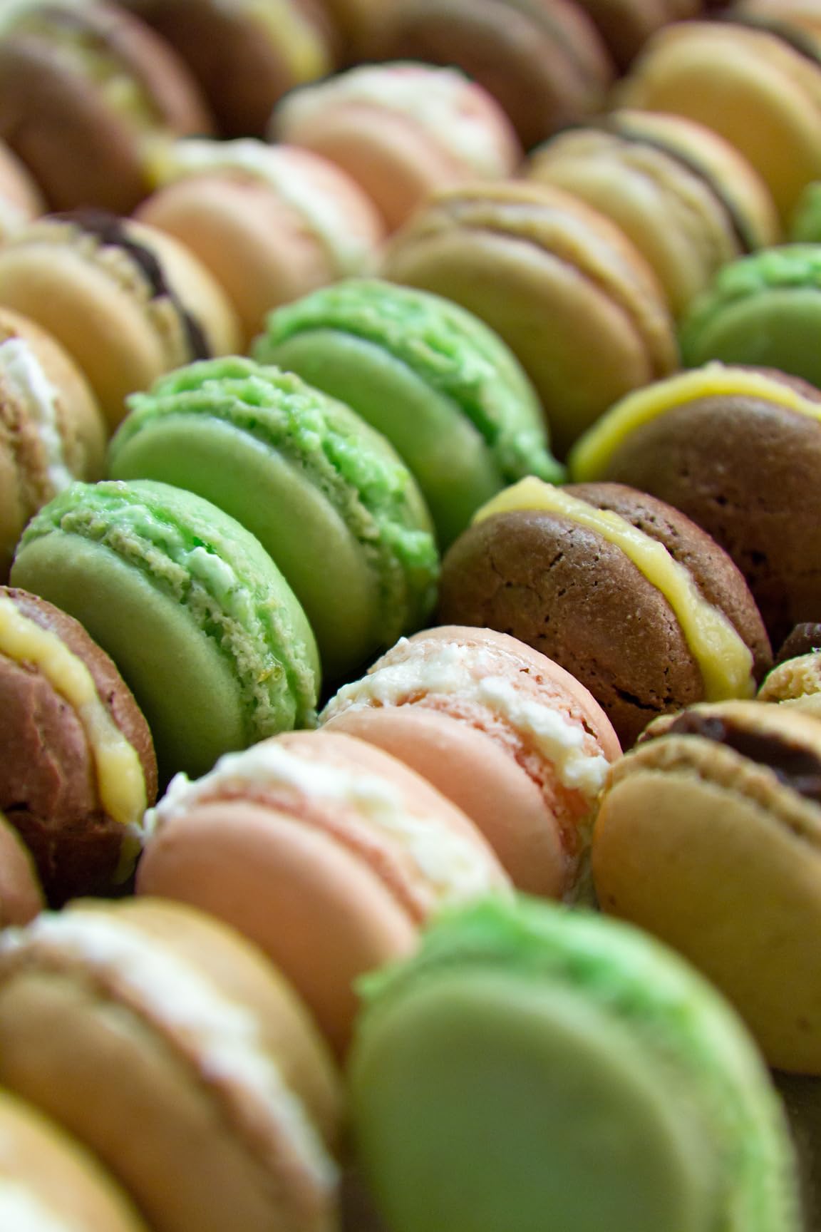 Lékué Kit pour réaliser macarons maison, silicone