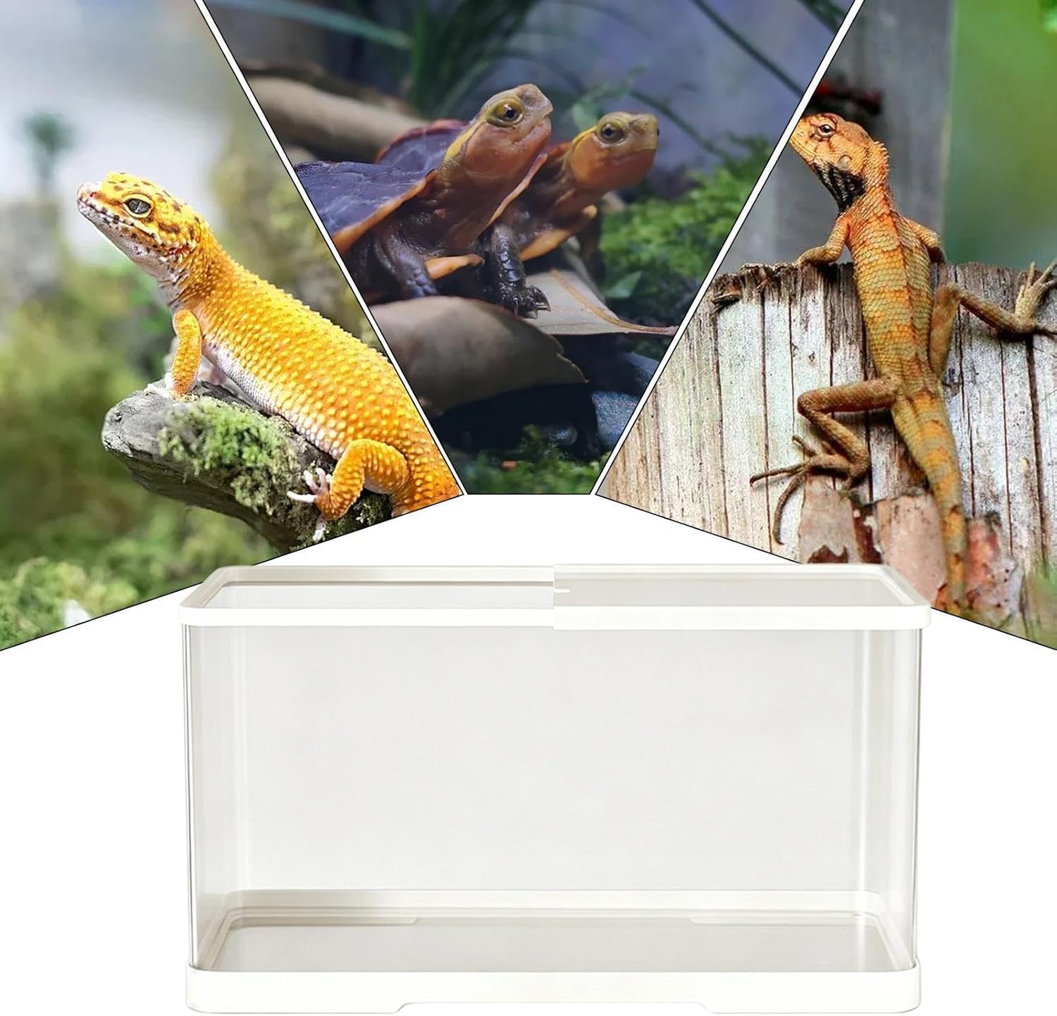 Tarantula Enclosure - Escape Proof Ventilation Tortoise Keeper | Acrylic Tarantula Cribs Lizard Enclosure | for Bearded Dragon Leopard Gecko Hermit Crab