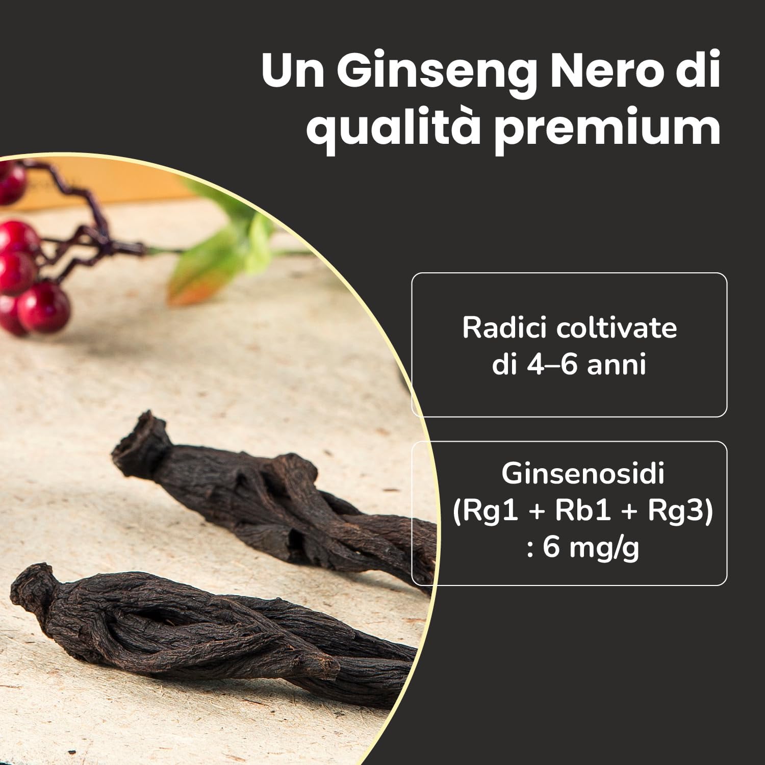 Samsidae Estratto Di Ginseng Nero Coreano - 100 G