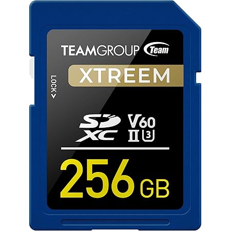 v60 micro sd card 256gb