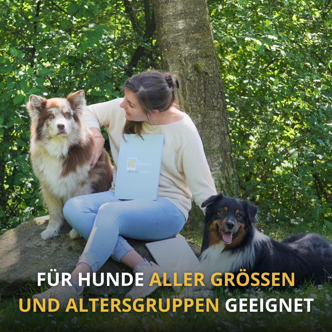 Adventure Memories | Challenge Buch für Abenteuer mit dem Hund | Album für Erinnerungen für mit dem Hund | Persönliches Geschenk für Hundehalter | Erinnerungsbuch für Hundeliebhaber