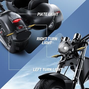 eAhora M1P Sidecar with Electric Motorcycle for Adult, 2000W Motor 37mph, 30Ah Removable Lithium Battery, 40+ Mile Range, Full Suspension and Hydraulic Brakes, 2 People Ride (Black)