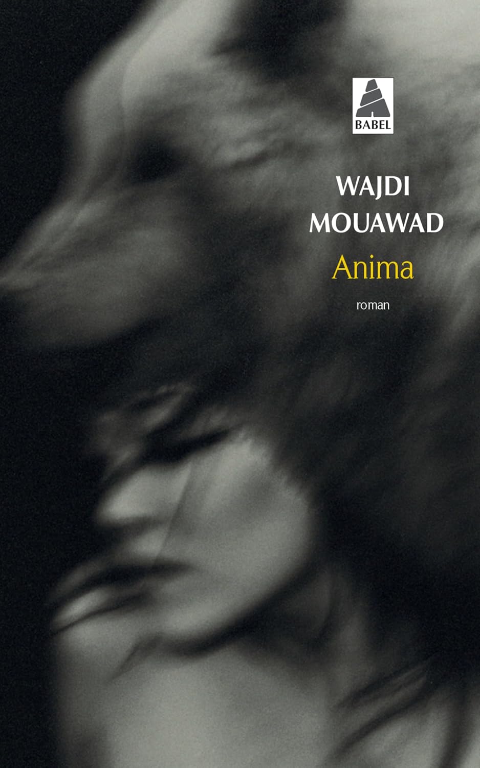 Anima - Wajdi Mouawad