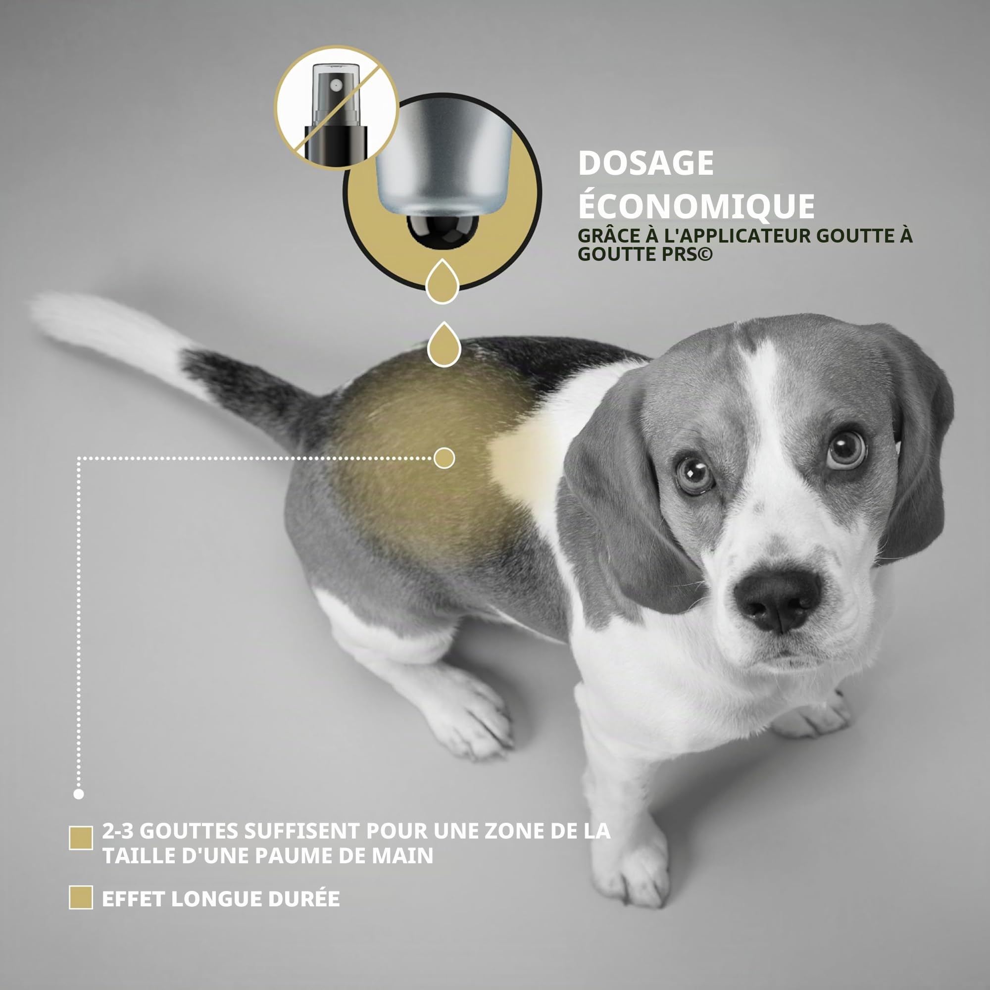 Peticare PetDog Health 2100 Soin contre l'eczéma pour chiens | En cas de dermatite atopique, etc. | Soulage efficacement les démangeaisons et favorise le processus de régénération | Système PRS®