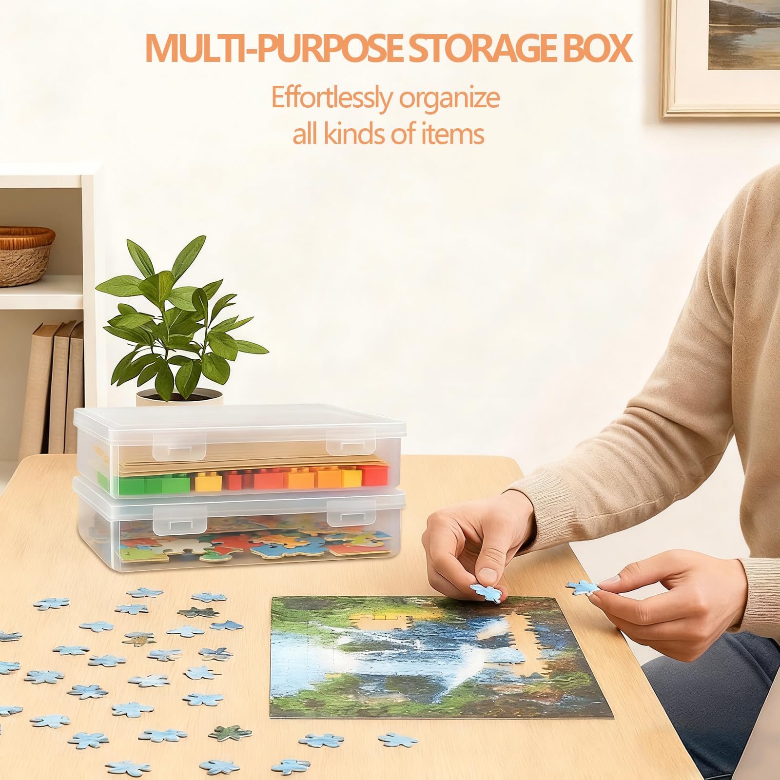Cajas Almacenaje Plastico con Tapa Apilables 31x22x5cm 2 Piezas