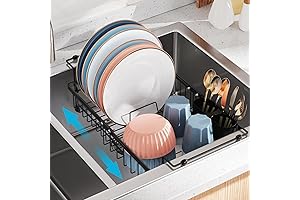 iSPECLE Expandable in Sink Dish Drying Rack