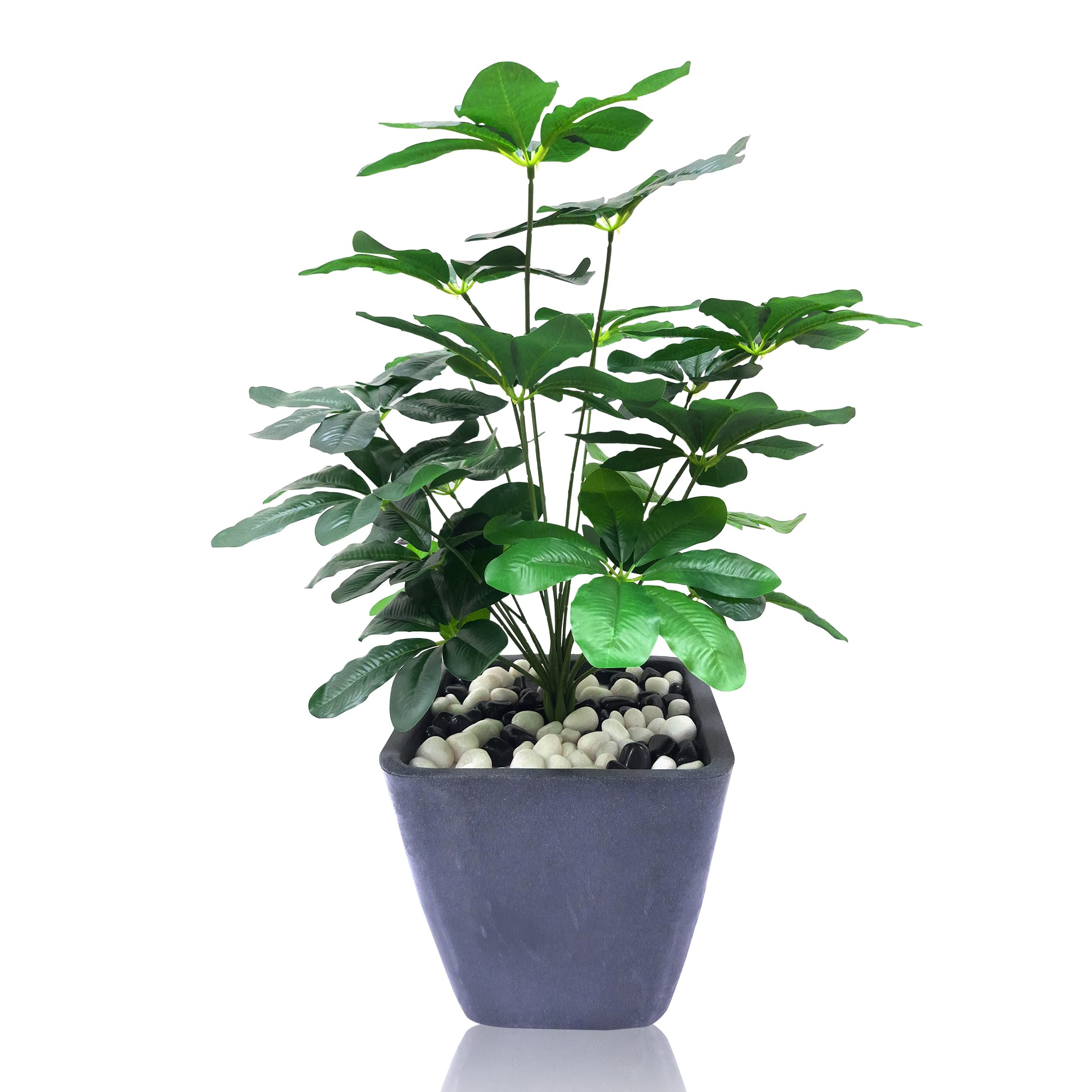 ENUTROF Artificial Plants with Basic Pot for Gifiting, Home Decor, Office Decor & Commercial Site || Sche Flera Artificial Plant for Indoor ||Size:52CM/1.7Ft