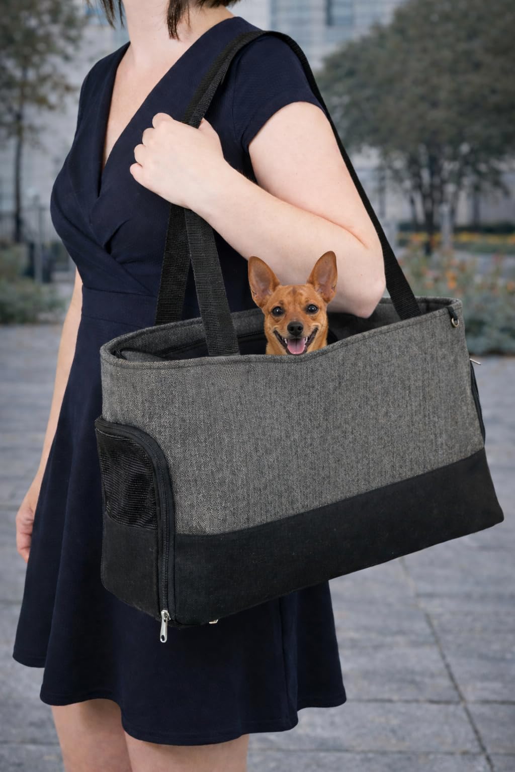 Trasportino per cani – gatti – Brigitta – Borsa in tessuto con ventilazione, fondo removibile e manici pratici