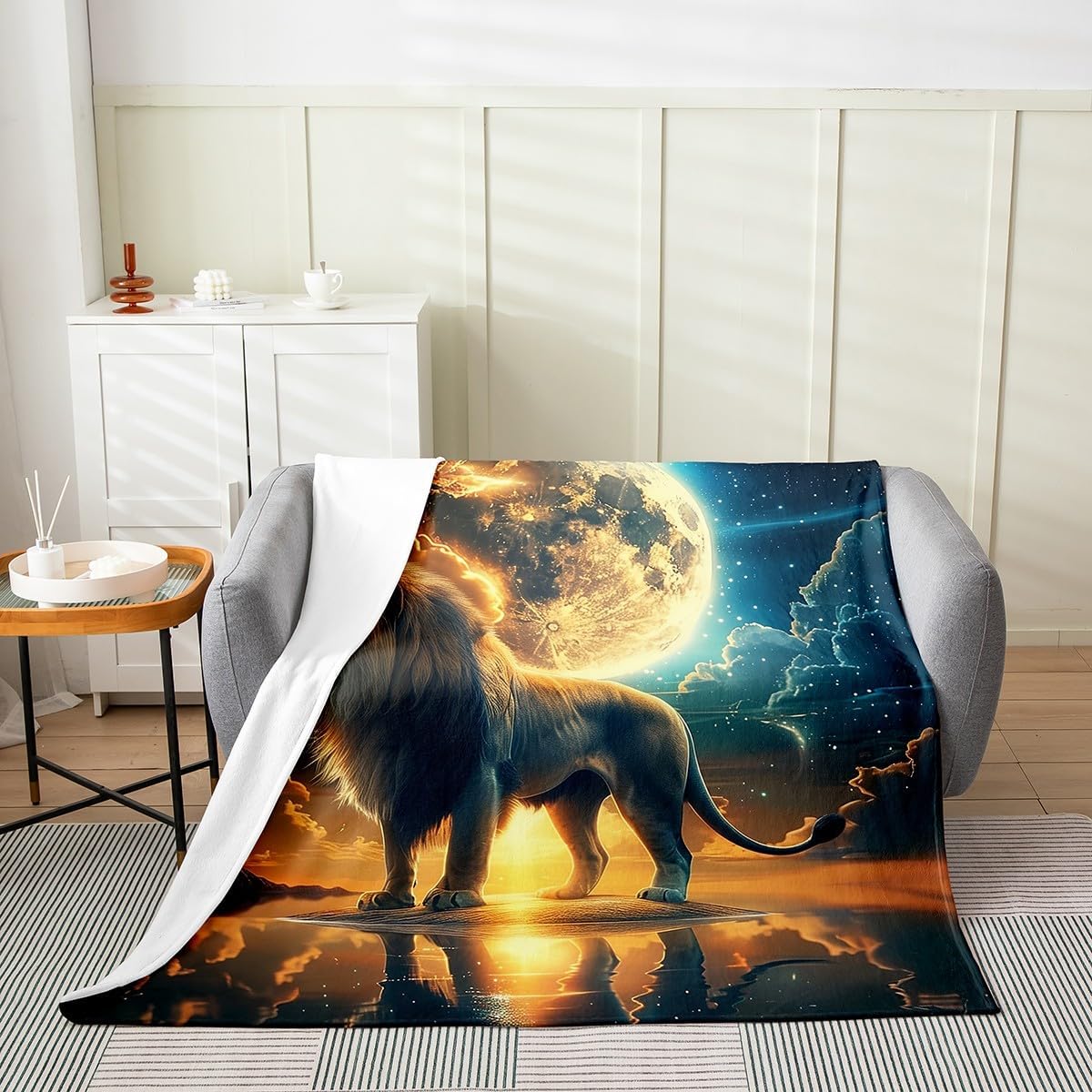 Phoenix Fleece Blanket,Fire and Water Chinese Tai Chi Yin Yang Style Bed Blanket for Kids Teens,Watercolor Ancient Animal Firebird Flannel Blanket for Room Decor,Queen 90"x90"