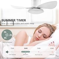 YrgePowk 65 cm Mennyezeti Ventilátor LED Világítással Távirányítóval 5