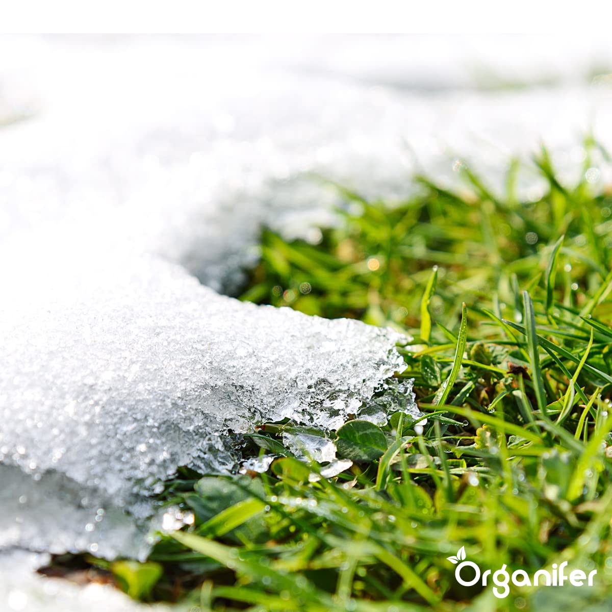 Fertilizante De Otoño Universal - 5kg = 100m2 | Rico En Potasio - Abono De Otoño - Abono Para Césped - Aumenta La Resistencia Del Césped A Las Heladas - Sequía - Organifer