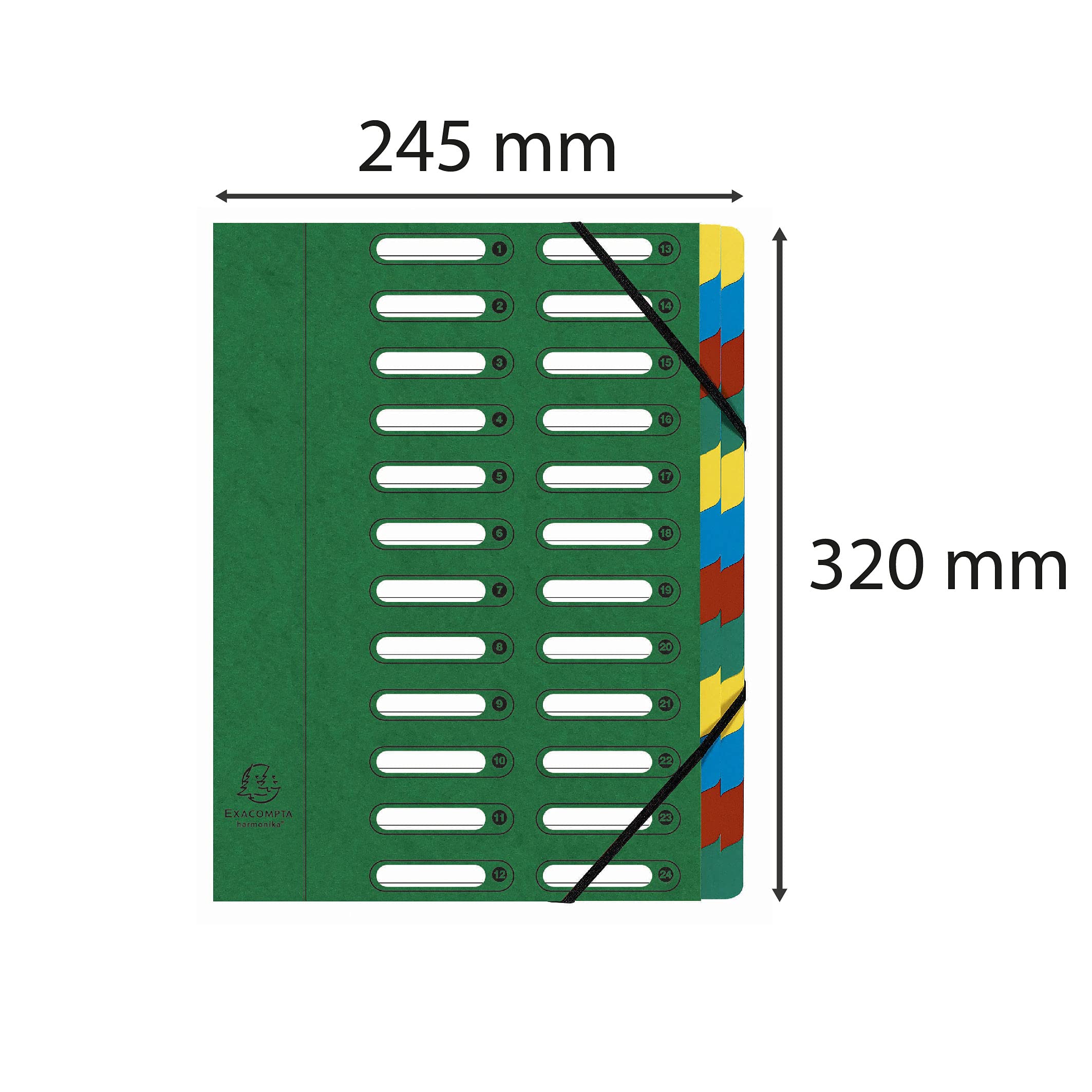 Exacompta - Réf. 55243E - 1 trieur HARMONIKA - avec élastiques et fenêtres découpées - couverture en carte lustrée - dos extensible - 24 compartiments - pour A4 - dim 24,5 x 32 cm - couleur vert