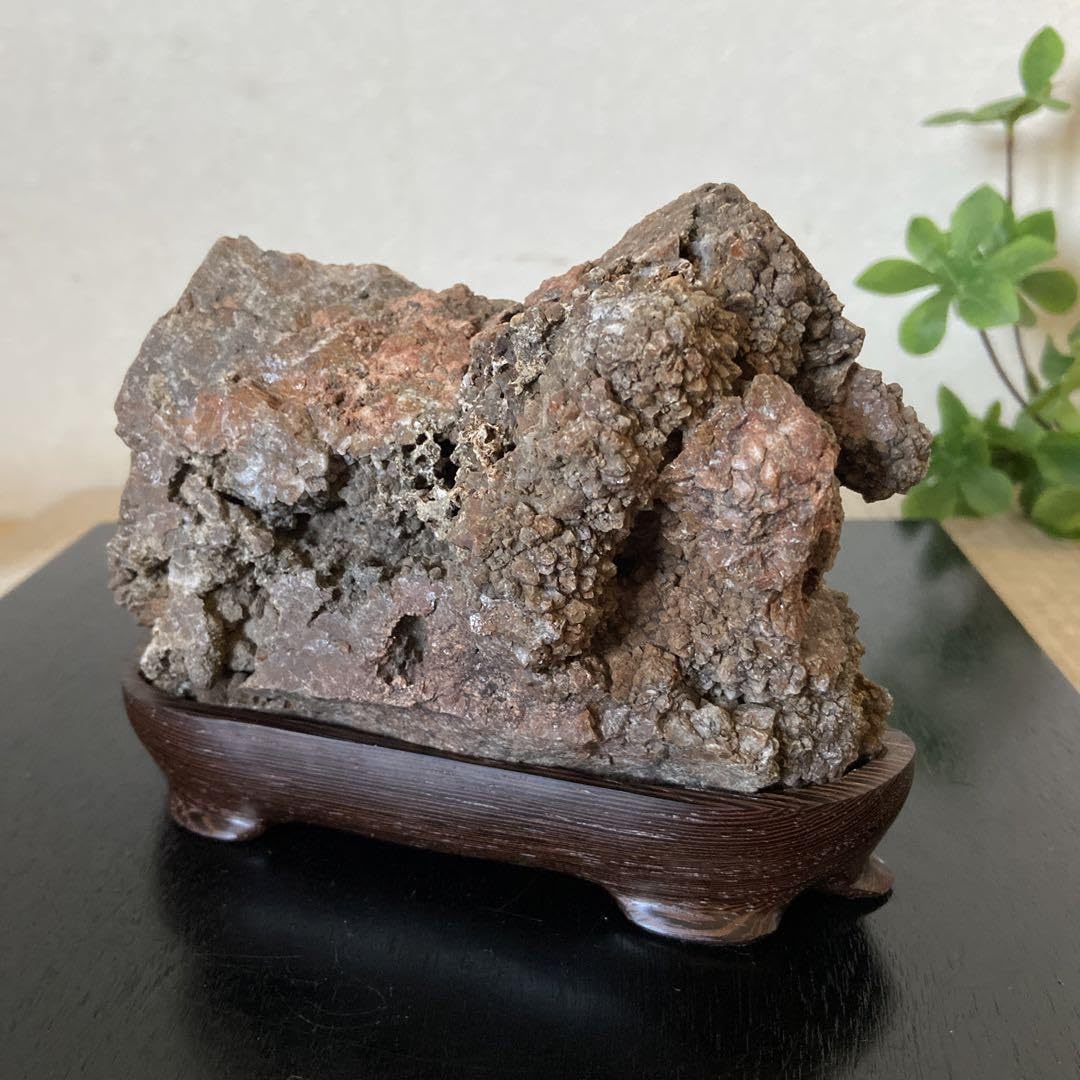 と*き様 菊花石　紅白花 淡いピンク花　2石セット　根尾 鑑賞石 水石 自然石 菊花石 紅白花 淡いピンク花 2石セット 根尾 鑑賞石 水石 自然石