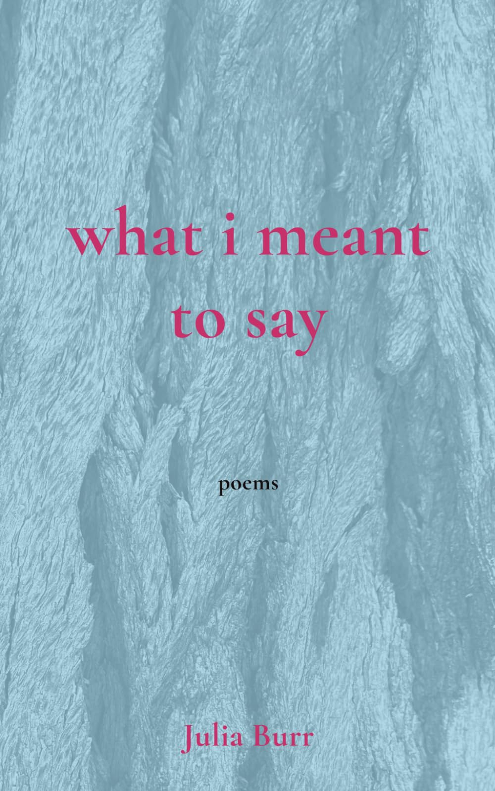 what i meant to say